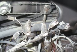 '55 Chevy Sedan Deluxe (49).JPG